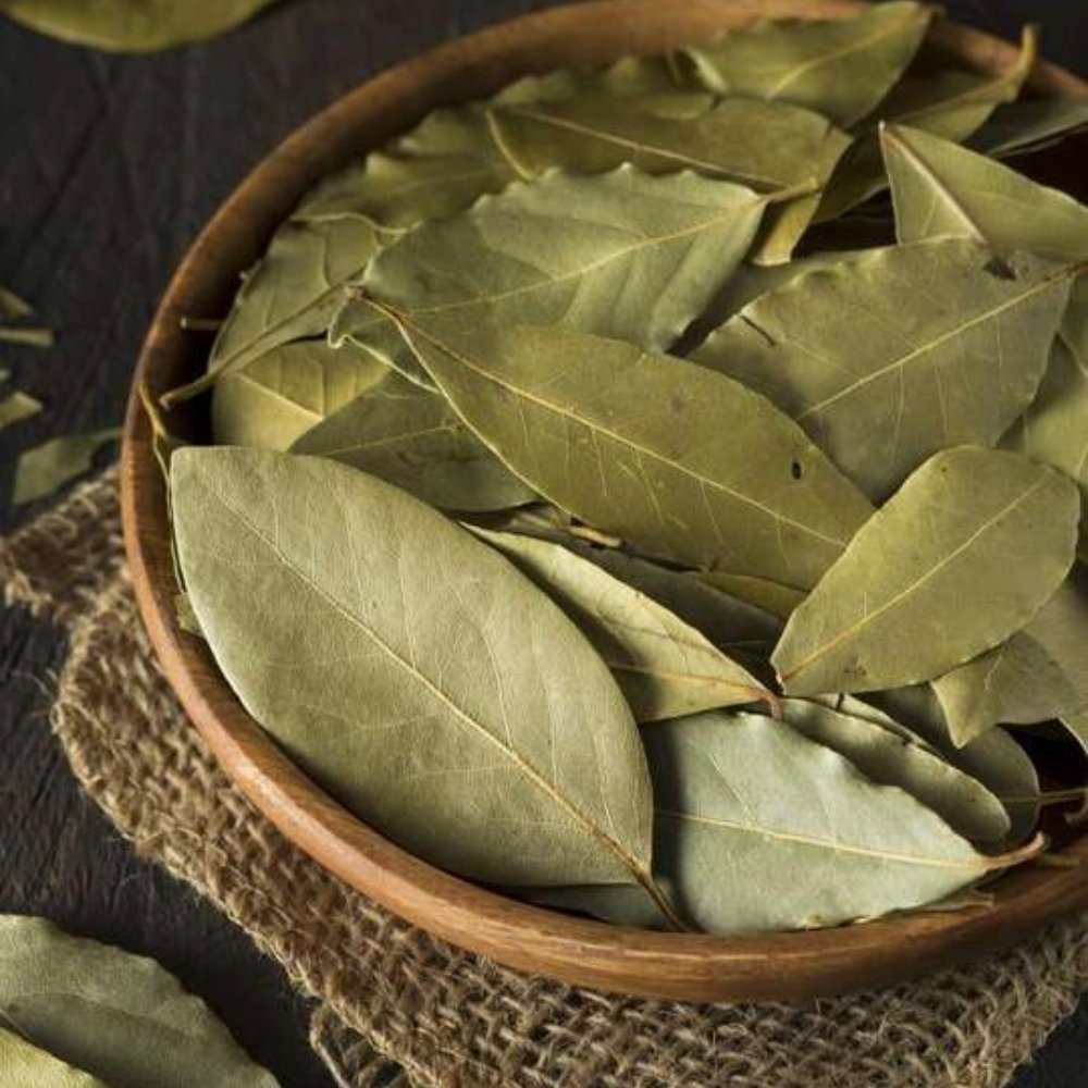 Bay Leaves - Vistara Vertex Global